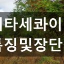 정용농장 네이버블로그