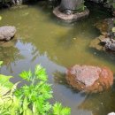 뜨는 돌 이미지