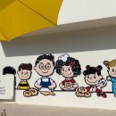 타타스베이글두정 이미지