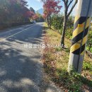 구례전원공인중개사사무소 이미지