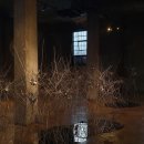 스튜디오익센트릭 이미지