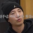 강아지트 이미지