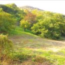 상승농장2 이미지