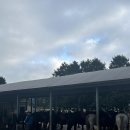 송당승마장 | 제주도 승마체험 송당승마장/ATV 체험장(액자 후기, 할인 받는 법 有)