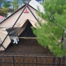 영월오아시스 글램핑 이미지