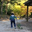 금관절경 이미지