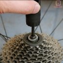 정비디오 이미지