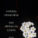 새벽을 여는 사람들 이미지