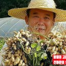 (주)큰집 이미지