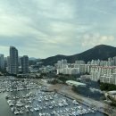 G-TOUR | [부산 요트 투어 G] : 부산 여행, 해운대 요트 투어 후기, 예약 링크, Busan yacht tour guide