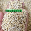 26년산 햇늘보리 입고~5kg/3명 기부합니다 이미지