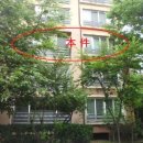 삼성드림아이소아청소년과의원 이미지