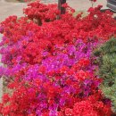 마동 체육공원 이미지