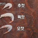지혜토굴새우젓