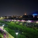 태양조명 - 순천시 강남로 46 | 태양조명