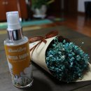 바디블룸(BODY BLOOM) 이미지