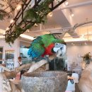 평택시 배다리저수지2 이미지