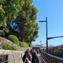 내맘대로 세계여행 | 도쿄 단독투어 한팀 한가족 일정내맘대로 10시간 자유여행 후기