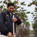 대불산단근로자작업복세탁소 이미지