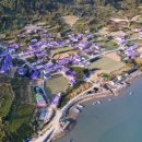 반월도퍼플펜션 이미지