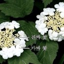 설백당 네이버블로그