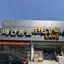 원미구 도약로 239 | 아발론 강아지 유모차 시승 후기 in 펫랜드