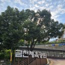 독산로54길 이미지