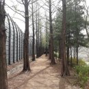 도장공원길 이미지