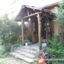 숲속작은민박 이미지