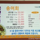 용천송어