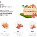 강아지 지니 이미지