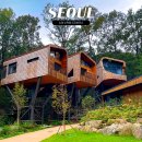 별이내리는집 | 수락휴 자연휴양림 트리하우스 별이빛나는밤 숙박후기 가격 예약팁