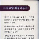 서제 이미지
