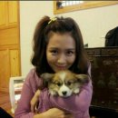 해미중학교 이미지