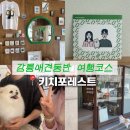 포레스트샵 | 강릉 소품샵 키치포레스트｜강아지 여행 코스에 넣을 5분 캐리커처 후기