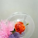 링플라워 이미지