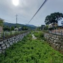 죽청대파니마을 이미지