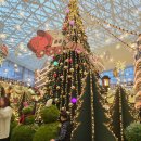 책읽고요리하는도서관(평일) | [공지] 아이들과 코엑스 별마당도서관 크리스마스 트리 방문후기