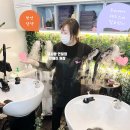 큐사랑 연일점