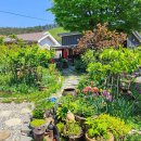 샛별글램핑 이미지