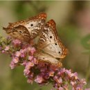 문일여자고등학교 이미지