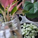 농협본점 이미지