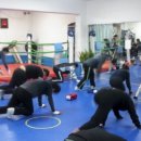 다윗복싱다이어트 이미지