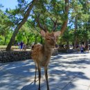 신성공원 이미지