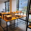 도화지오토캠핑장 이미지