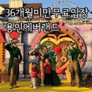 에버랜드 | 36개월미만 무료입장 내돈내산 에버랜드 후기