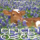 뒹굴뒹굴 이미지