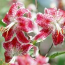 종로3가역(1) 이미지