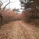 국가산단북로 이미지