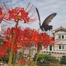 선학농장 이미지